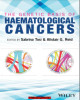 Ebook The genetic basis of haematological cancers: Part 2