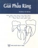 Ebook Giải phẫu răng: Phần 1