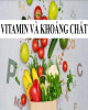 Bài giảng Vitamin và khoáng chất